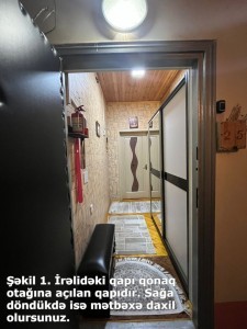image 377256