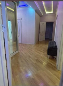 image 377281