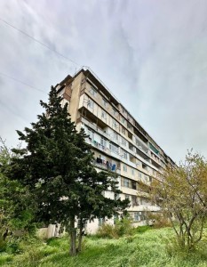 image 377286