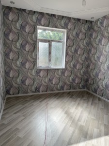 image 377300