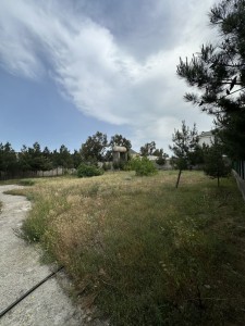 image 377306