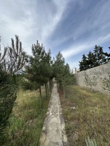 image 377306