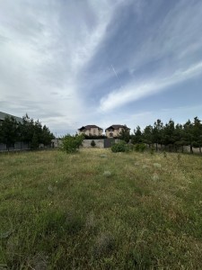 image 377306
