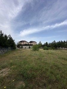 image 377306