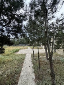 image 377306
