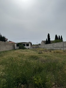 image 377309