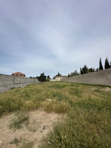 image 377309