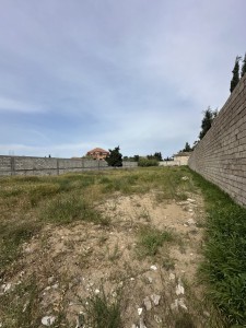 image 377309