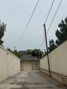image 377309