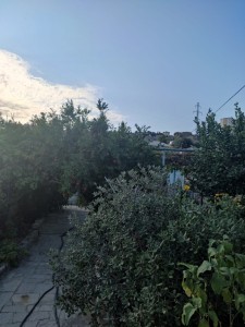 image 377328