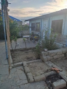 image 377328