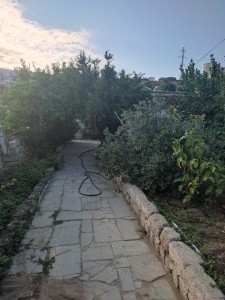 image 377328