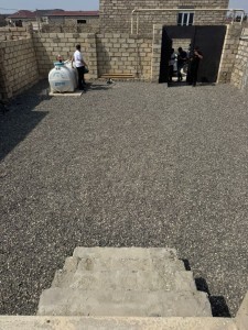 image 377332