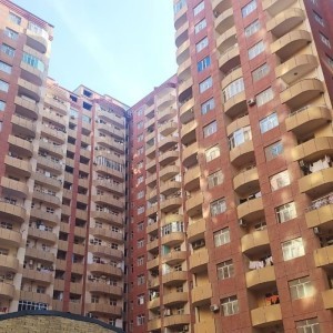 image 377345