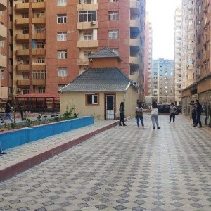 image 377345