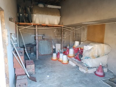 image 377357