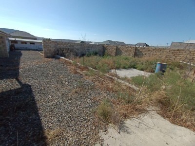 image 377357