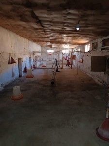image 377357