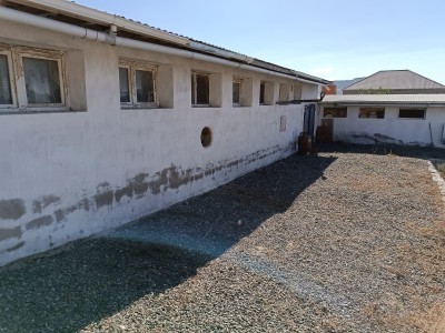 image 377357