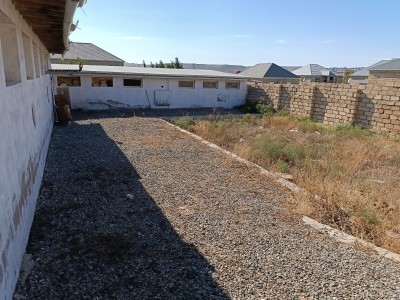 image 377357