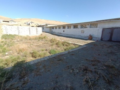 image 377357