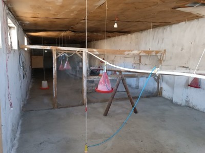 image 377357