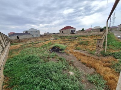 image 377381