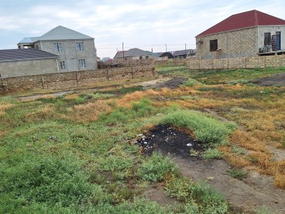 image 377381
