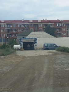 image 377384