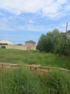 image 377384
