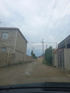 image 377384