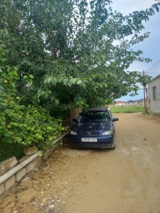 image 377384