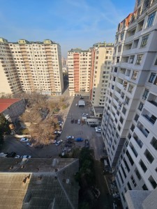 image 377390