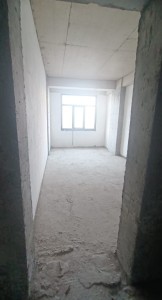 image 377399