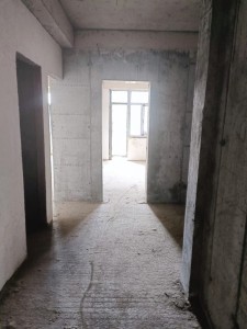 image 377399