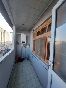 image 377406