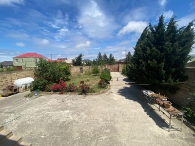 image 377410