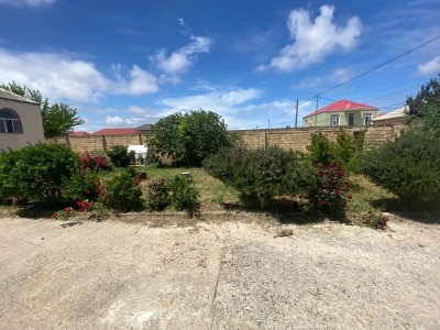 image 377410