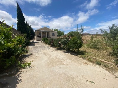 image 377410