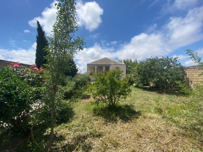 image 377410