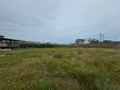 image 377435