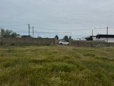 image 377435