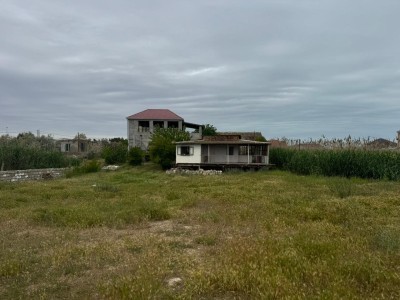 image 377435