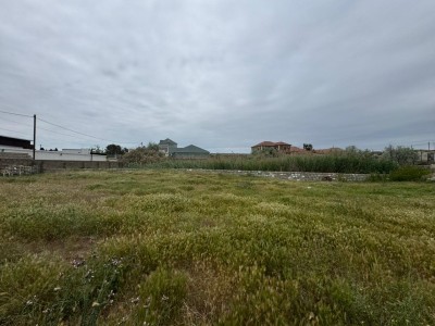 image 377435