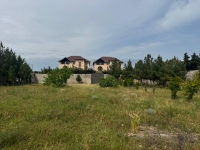 image 377436