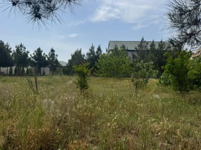 image 377436