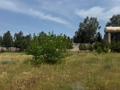 image 377436