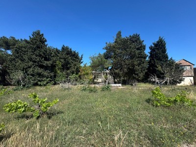 image 377437
