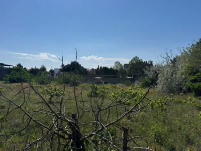 image 377437