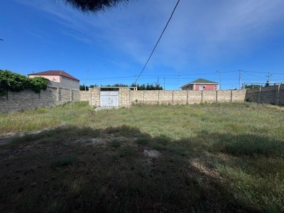 image 377437